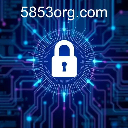 Understanding Privacy Policies: The Case of 5853.com